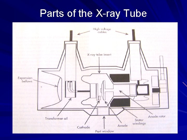 Parts of the X-ray Tube 