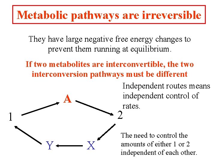 Metabolic pathways are irreversible They have large negative free energy changes to prevent them