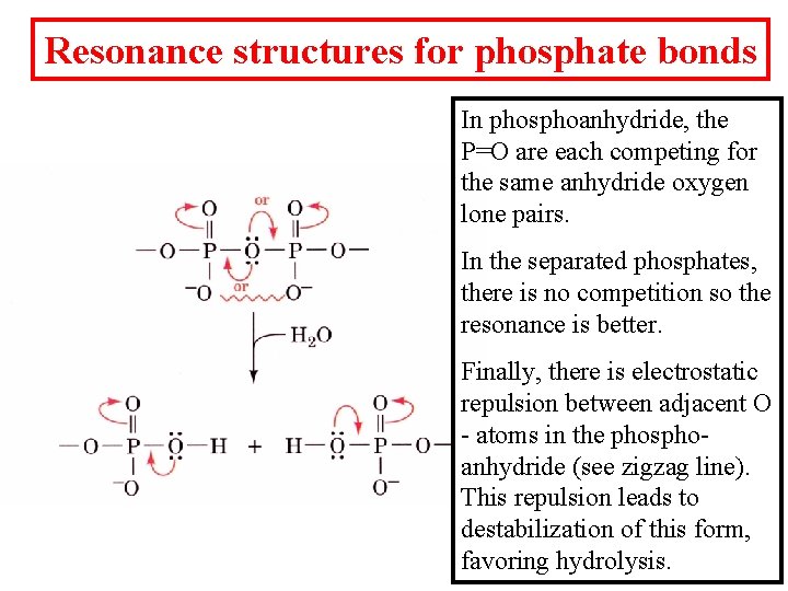 Resonance structures for phosphate bonds In phosphoanhydride, the P=O are each competing for the