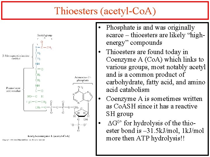Thioesters (acetyl-Co. A) • Phosphate is and was originally scarce – thioesters are likely