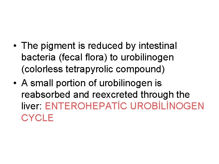  • The pigment is reduced by intestinal bacteria (fecal flora) to urobilinogen (colorless
