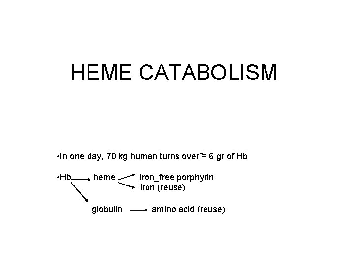 HEME CATABOLISM • In one day, 70 kg human turns over ~= 6 gr