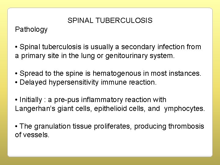 SPINAL TUBERCULOSIS Pathology • Spinal tuberculosis is usually a secondary infection from a primary