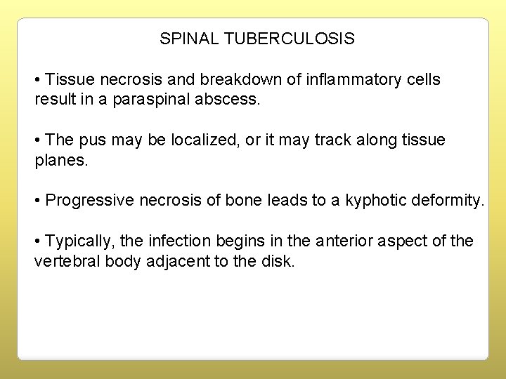 SPINAL TUBERCULOSIS • Tissue necrosis and breakdown of inflammatory cells result in a paraspinal