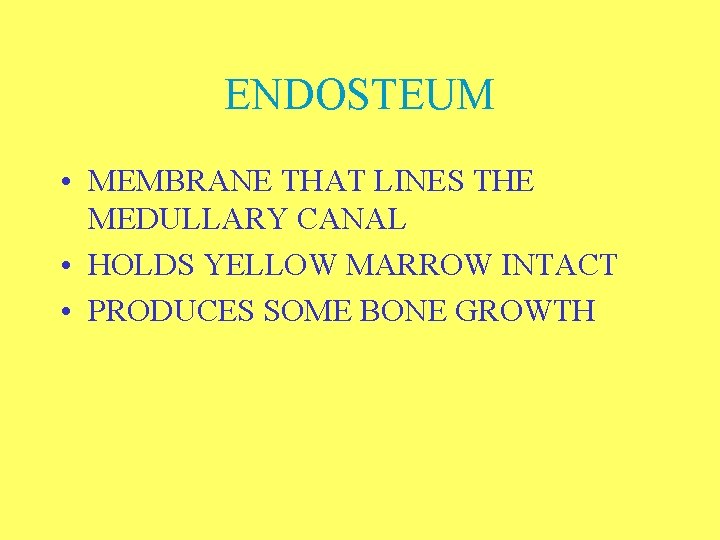 ENDOSTEUM • MEMBRANE THAT LINES THE MEDULLARY CANAL • HOLDS YELLOW MARROW INTACT •