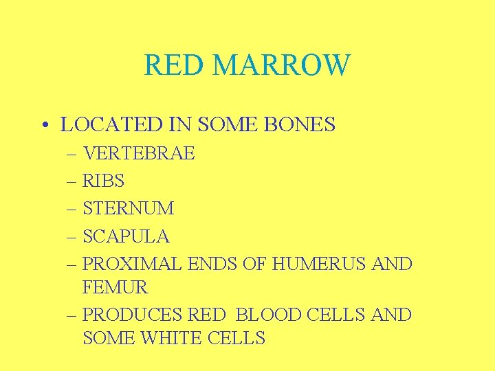 RED MARROW • LOCATED IN SOME BONES – VERTEBRAE – RIBS – STERNUM –