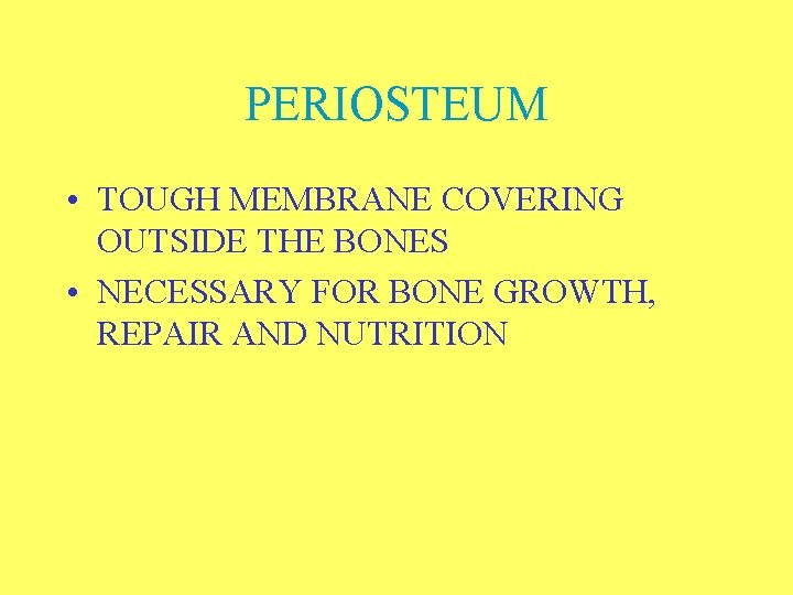 PERIOSTEUM • TOUGH MEMBRANE COVERING OUTSIDE THE BONES • NECESSARY FOR BONE GROWTH, REPAIR