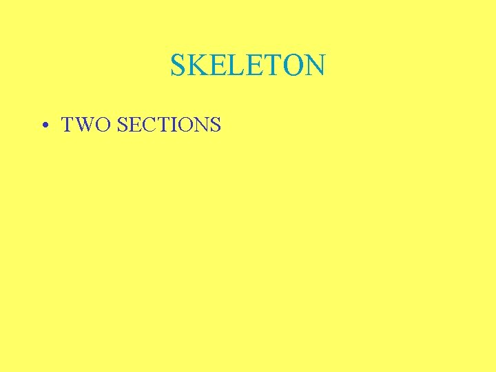 SKELETON • TWO SECTIONS 