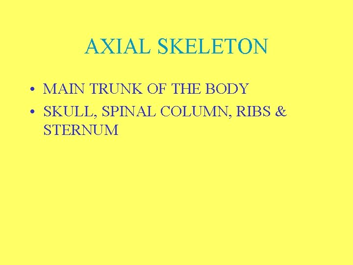 AXIAL SKELETON • MAIN TRUNK OF THE BODY • SKULL, SPINAL COLUMN, RIBS &