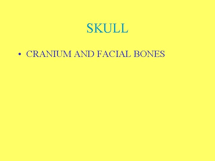 SKULL • CRANIUM AND FACIAL BONES 