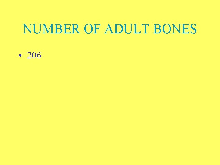 NUMBER OF ADULT BONES • 206 