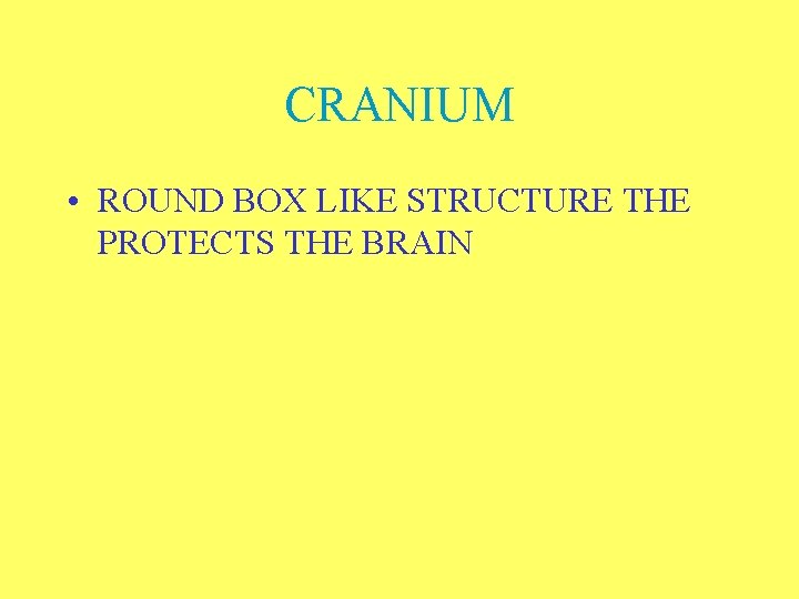 CRANIUM • ROUND BOX LIKE STRUCTURE THE PROTECTS THE BRAIN 