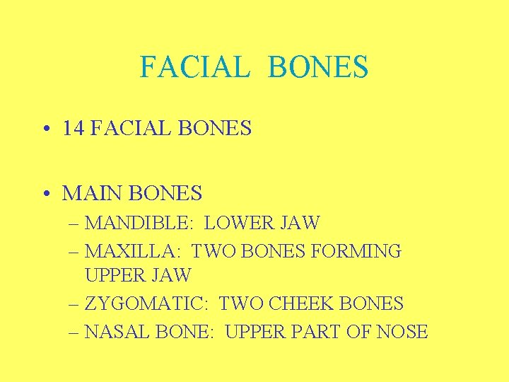 FACIAL BONES • 14 FACIAL BONES • MAIN BONES – MANDIBLE: LOWER JAW –