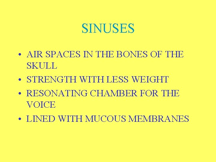 SINUSES • AIR SPACES IN THE BONES OF THE SKULL • STRENGTH WITH LESS