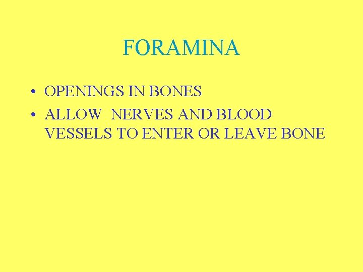 FORAMINA • OPENINGS IN BONES • ALLOW NERVES AND BLOOD VESSELS TO ENTER OR