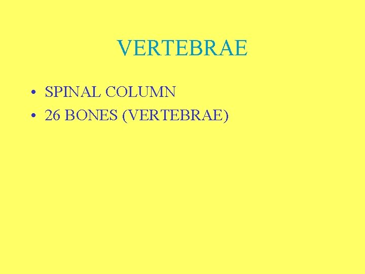 VERTEBRAE • SPINAL COLUMN • 26 BONES (VERTEBRAE) 