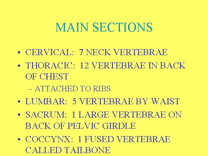 MAIN SECTIONS • CERVICAL: 7 NECK VERTEBRAE • THORACIC: 12 VERTEBRAE IN BACK OF