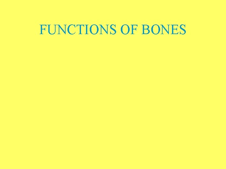 FUNCTIONS OF BONES 