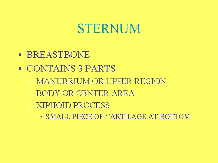 STERNUM • BREASTBONE • CONTAINS 3 PARTS – MANUBRIUM OR UPPER REGION – BODY