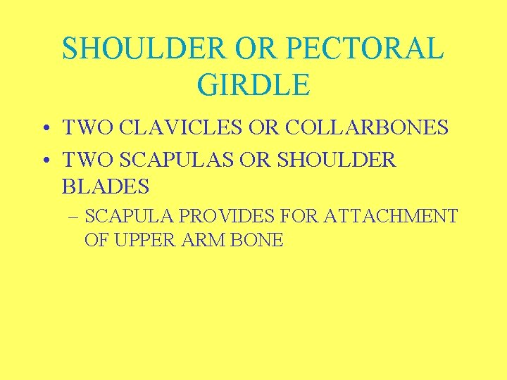 SHOULDER OR PECTORAL GIRDLE • TWO CLAVICLES OR COLLARBONES • TWO SCAPULAS OR SHOULDER