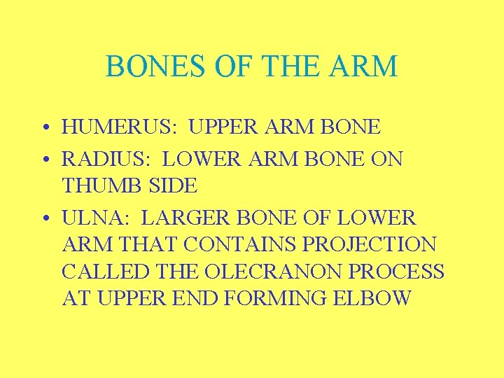 BONES OF THE ARM • HUMERUS: UPPER ARM BONE • RADIUS: LOWER ARM BONE