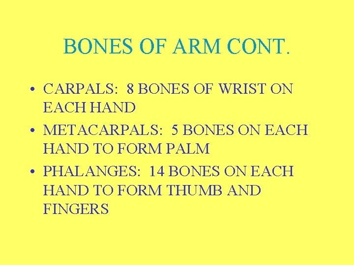 BONES OF ARM CONT. • CARPALS: 8 BONES OF WRIST ON EACH HAND •