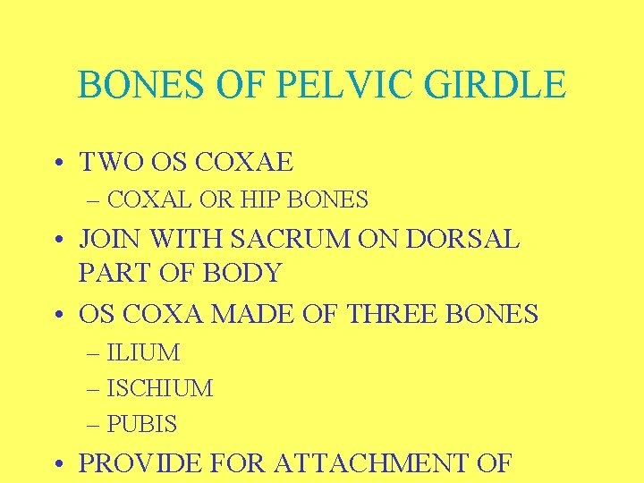 BONES OF PELVIC GIRDLE • TWO OS COXAE – COXAL OR HIP BONES •