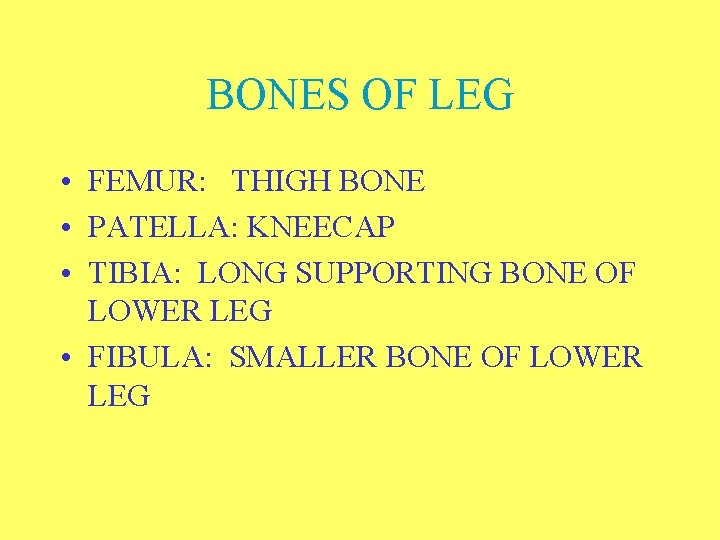 BONES OF LEG • FEMUR: THIGH BONE • PATELLA: KNEECAP • TIBIA: LONG SUPPORTING