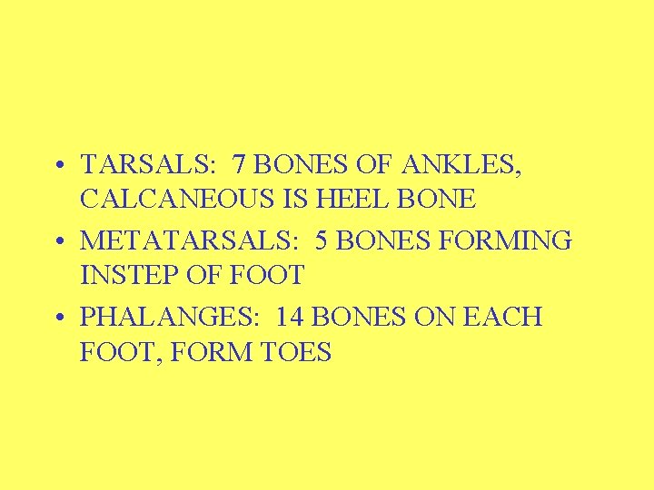  • TARSALS: 7 BONES OF ANKLES, CALCANEOUS IS HEEL BONE • METATARSALS: 5