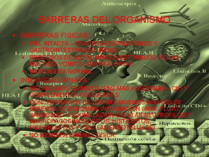 BARRERAS DEL ORGANISMO § BARRERAS FISICAS: § PIEL INTACTA – TRACTOS RESPIRATORIOS Y GASTROINTESTINALES