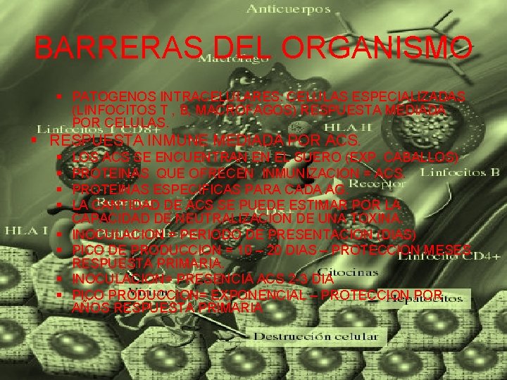 BARRERAS DEL ORGANISMO § PATOGENOS INTRACELULARES: CELULAS ESPECIALIZADAS (LINFOCITOS T , B, MACROFAGOS) RESPUESTA