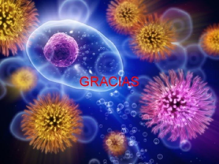 GRACIAS 