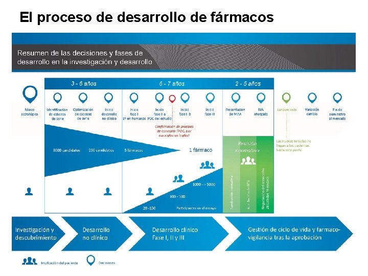 El proceso de desarrollo de fármacos 