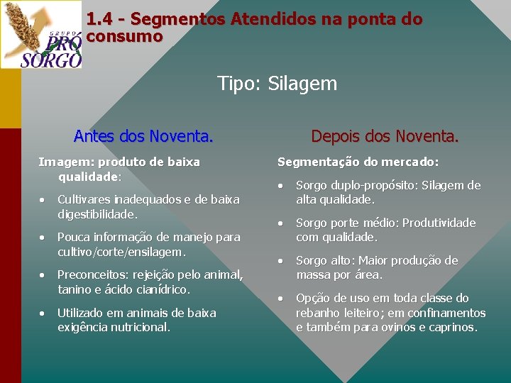 1. 4 - Segmentos Atendidos na ponta do consumo Tipo: Silagem Antes dos Noventa.