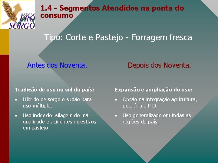 1. 4 - Segmentos Atendidos na ponta do consumo Tipo: Corte e Pastejo -