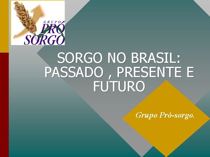 SORGO NO BRASIL: PASSADO , PRESENTE E FUTURO Grupo Pró-sorgo. 