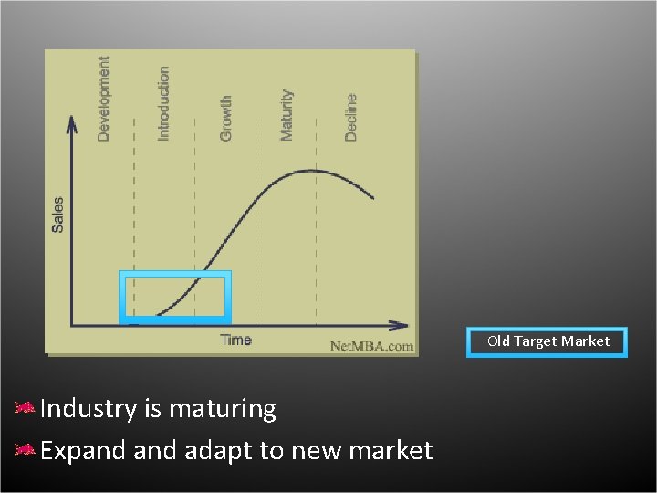 Old Target Market Industry is maturing Expand adapt to new market 