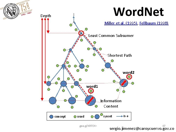 Word. Net … Depth Miller et al. (1995), Fellbaum (1998) Least Common Subsumer Shortest