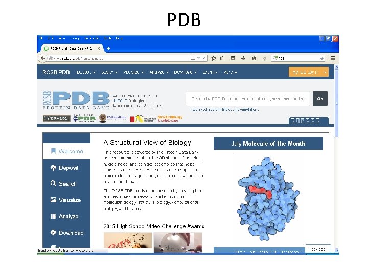 PDB 