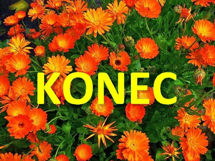 KONEC 