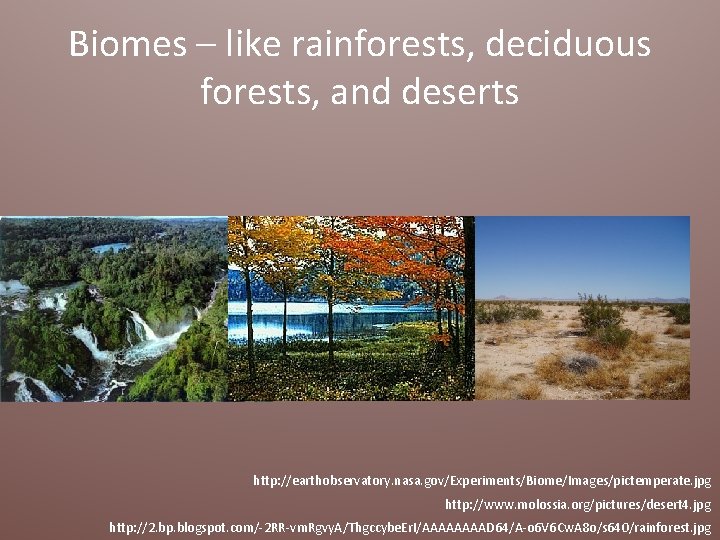 Biomes – like rainforests, deciduous forests, and deserts http: //earthobservatory. nasa. gov/Experiments/Biome/Images/pictemperate. jpg http: