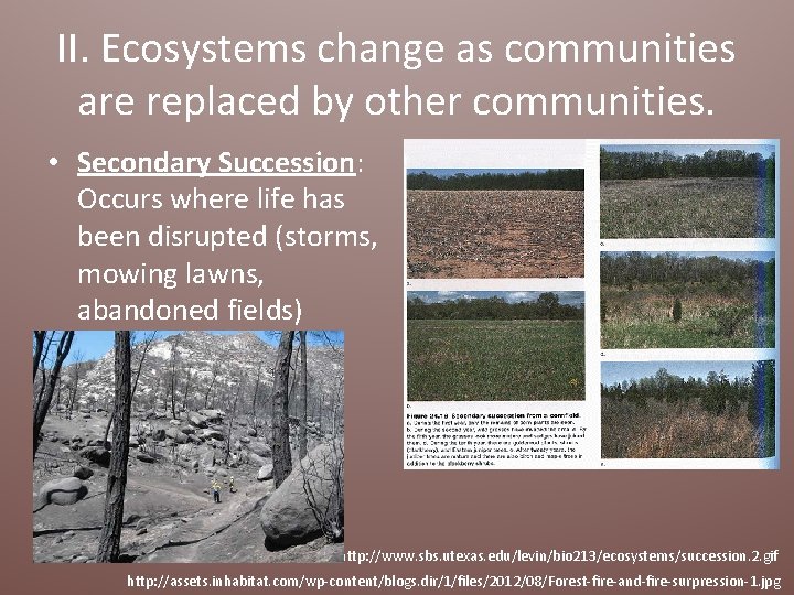 II. Ecosystems change as communities are replaced by other communities. • Secondary Succession: Occurs