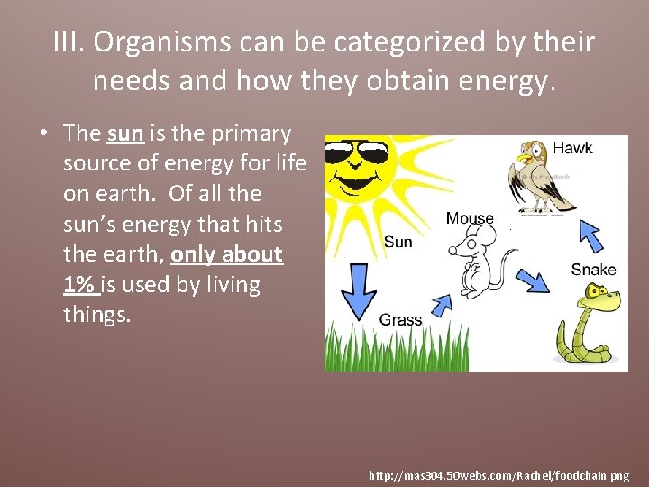 III. Organisms can be categorized by their needs and how they obtain energy. •