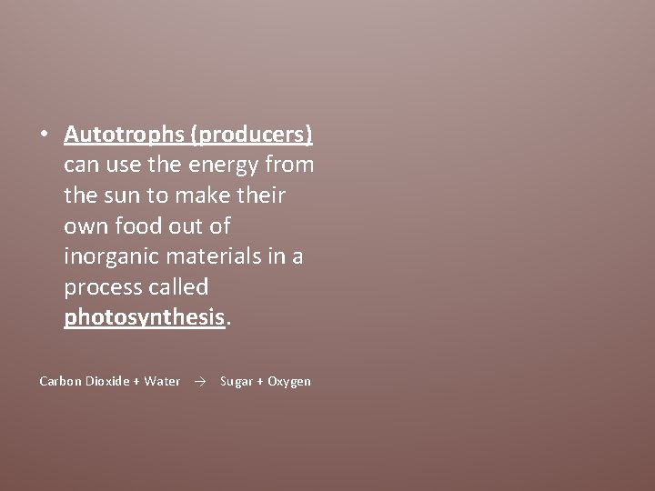  • Autotrophs (producers) can use the energy from the sun to make their