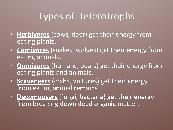 Types of Heterotrophs • Herbivores (cows, deer) get their energy from eating plants. •