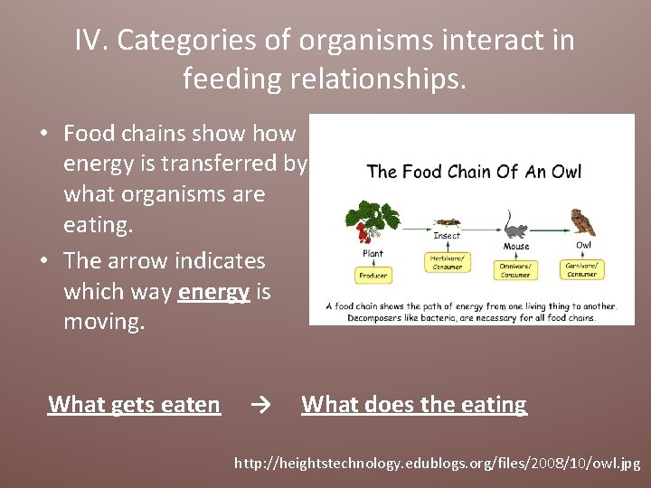 IV. Categories of organisms interact in feeding relationships. • Food chains show energy is