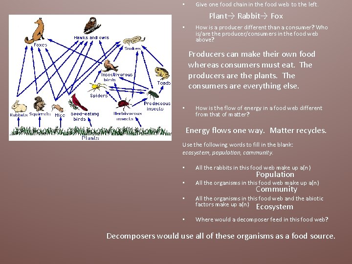  • Give one food chain in the food web to the left. Plant→