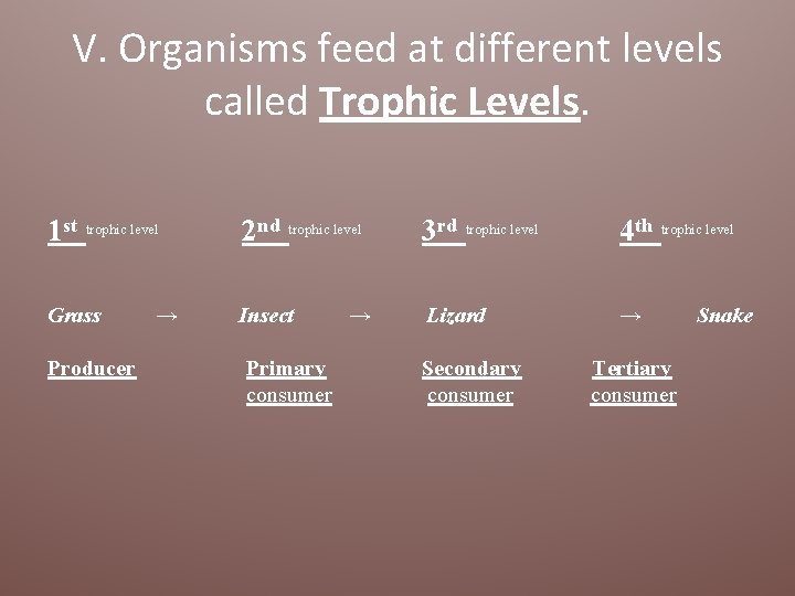 V. Organisms feed at different levels called Trophic Levels. 1 st trophic level 2