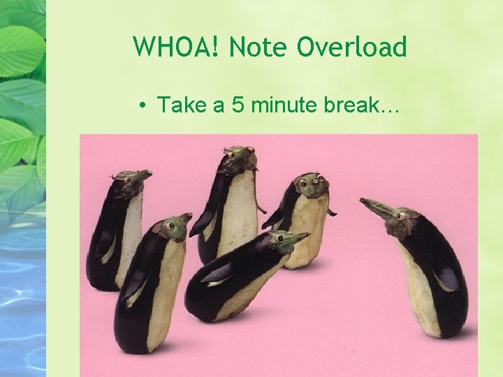WHOA! Note Overload • Take a 5 minute break… 