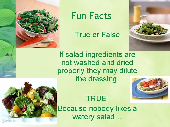 Fun Facts True or False If salad ingredients are not washed and dried properly